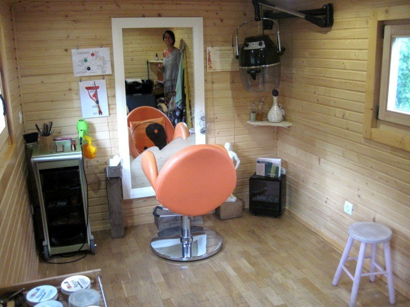 professionnel