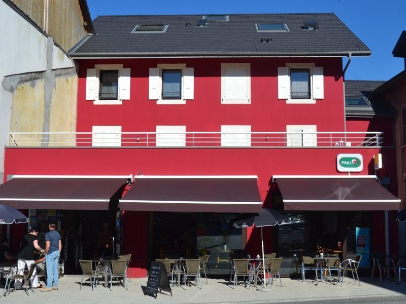 professionnel