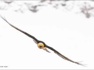 Antoine Rezer Photographe