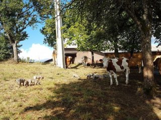 GAEC La Ferme BIODUP