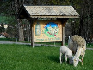 La Bergerie des Roches